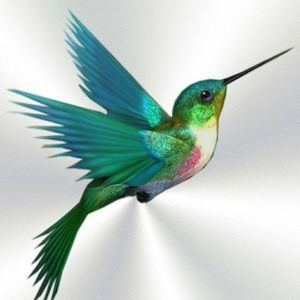 Meet your Posher, Valeri